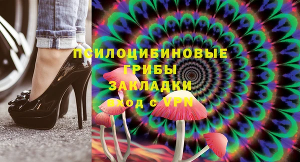 гашик Алексеевка
