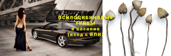 гашик Алексеевка