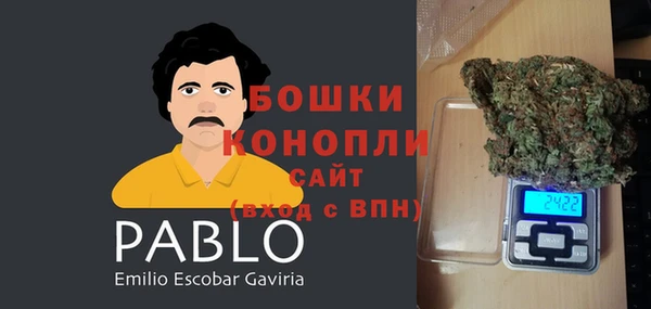 гашик Алексеевка