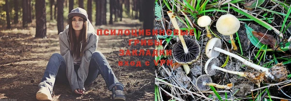 метадон Алзамай