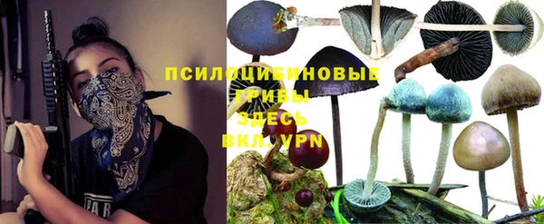 гашик Алексеевка