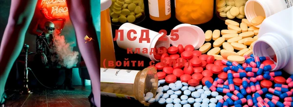 гашик Алексеевка